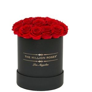 Meet your Posher, Sally